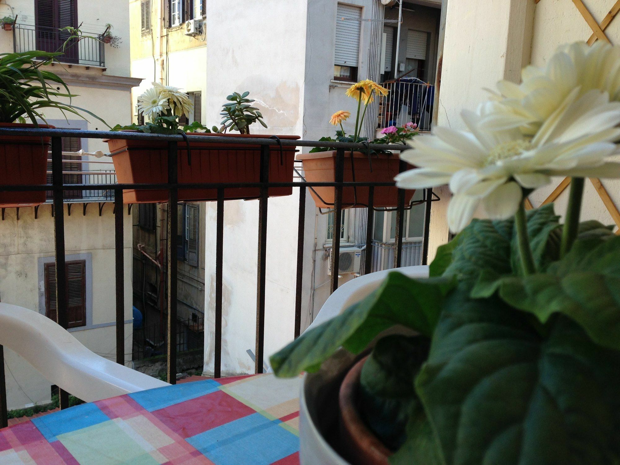 B&B SoleLuna della Solidarietà Palerme Extérieur photo