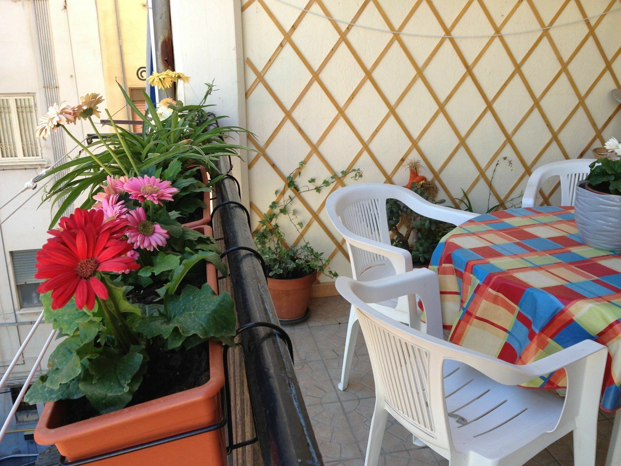 B&B SoleLuna della Solidarietà Palerme Extérieur photo
